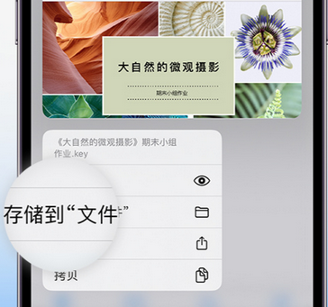 中站apple维修中心分享iPhone文件应用中存储和找到下载文件