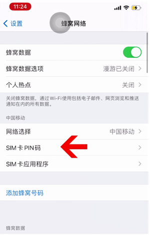 中站苹果14维修网分享如何给iPhone14的SIM卡设置密码 