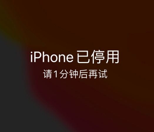 中站苹果手机维修分享:iPhone 显示“不可用”或“已停用”怎么办？还能保留数据吗？ 