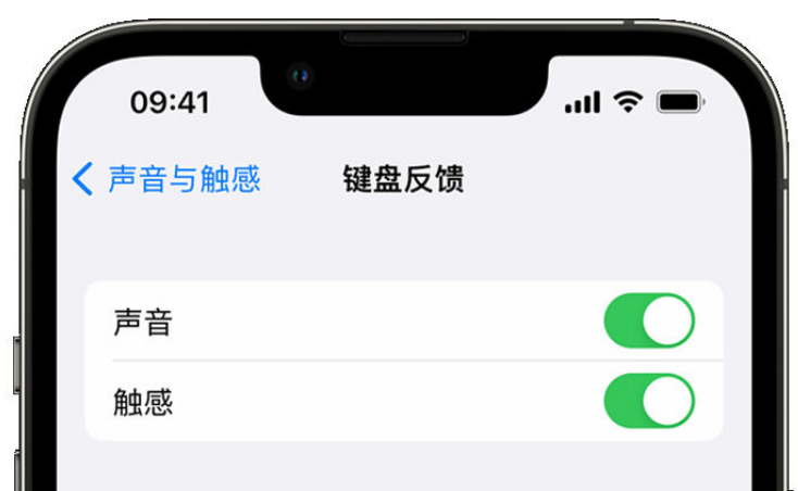 中站苹果手机维修分享iPhone 14触感键盘使用方法 