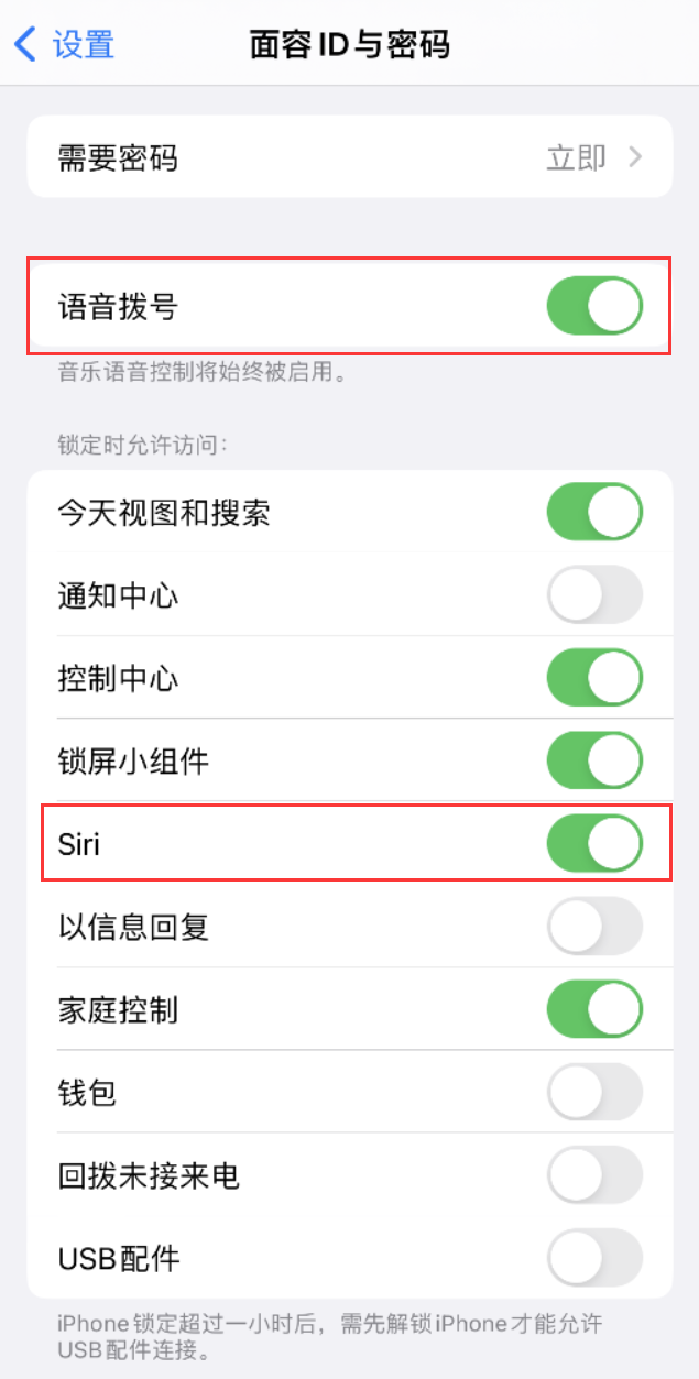 中站苹果维修网点分享不解锁 iPhone 的情况下通过 Siri 拨打电话的方法 