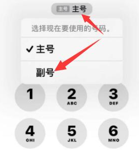 中站苹果14维修店分享iPhone 14 Pro Max使用副卡打电话的方法 