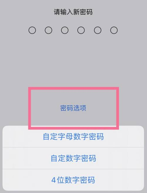 中站苹果14维修分享iPhone 14plus设置密码的方法 