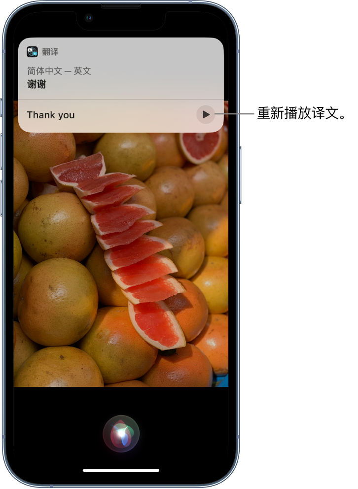 中站苹果14维修分享 iPhone 14 机型中使用 Siri：了解 Siri 能帮你做什么 