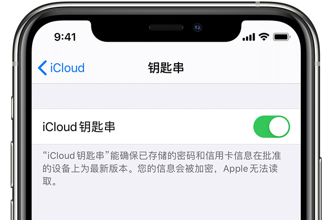 中站苹果手机维修分享在 iPhone 上开启 iCloud 钥匙串之后会储存哪些信息 