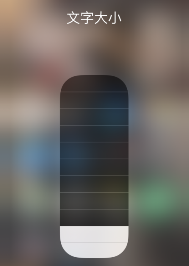 中站苹果手机维修分享小技巧：在 iPhone 控制中心快速调节字体大小 