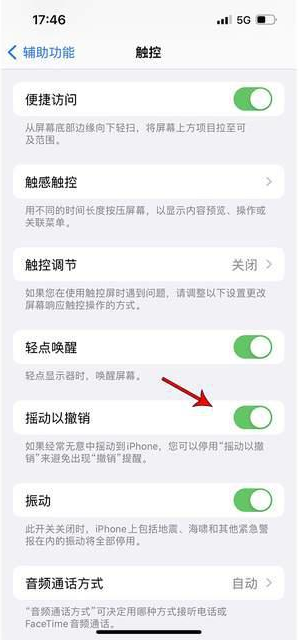 中站苹果手机维修分享iPhone手机如何设置摇一摇删除文字 